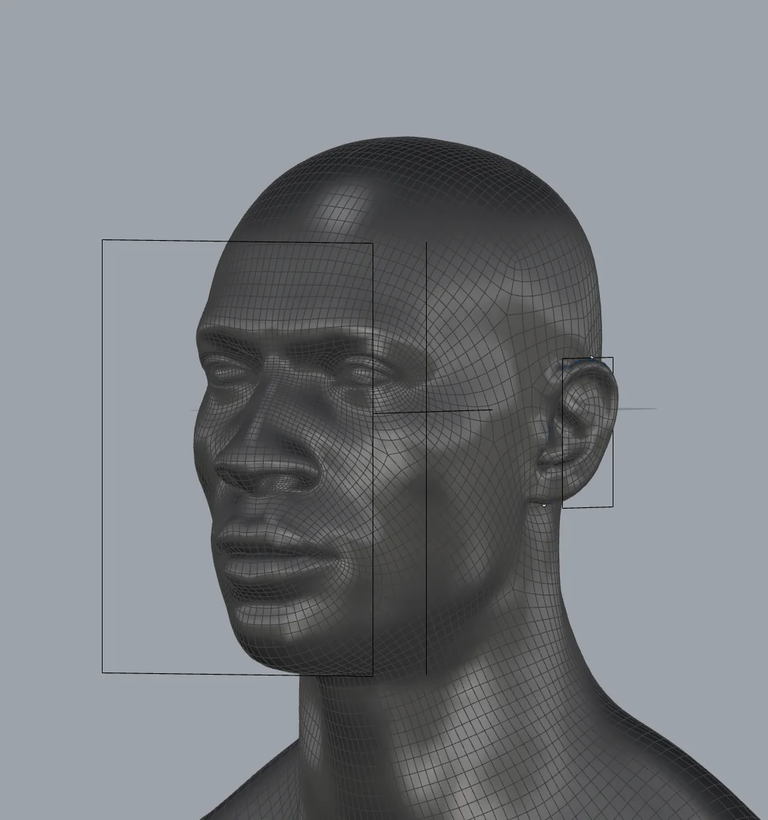 Digital head study used to define OBEX facial coverage and temple-module placement