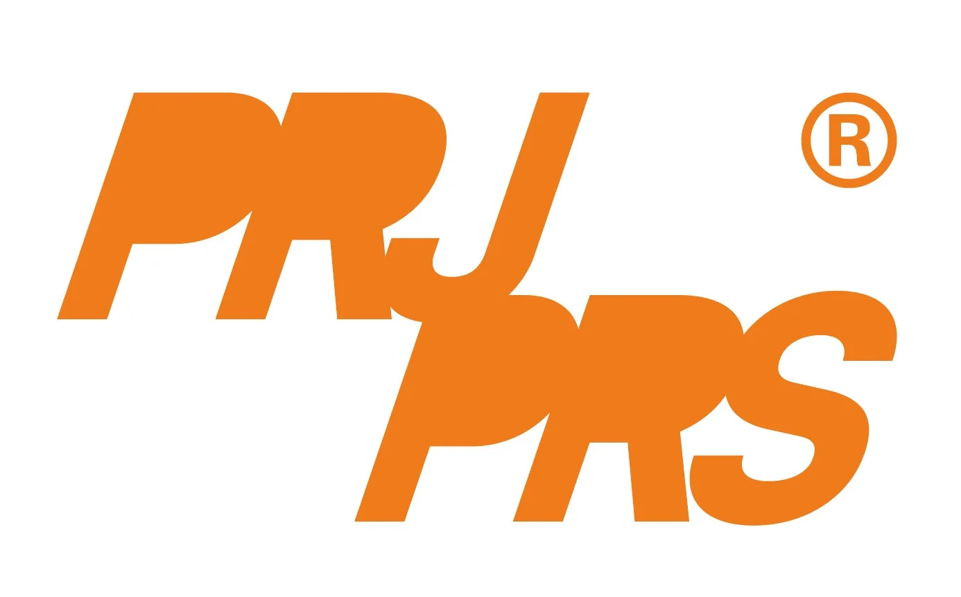 Project Present identity study in orange typography